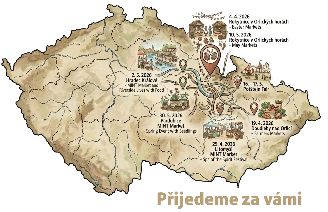 mapa bez logs